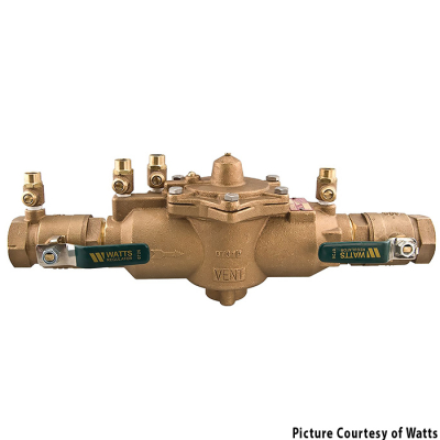 Watts 009QT Backflow Preventer 2"" IP