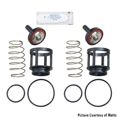 Watts 719 1IN Total Repair Kit -Also Fits Lead Free Version