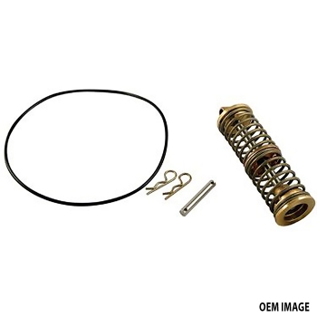 Febco 850/870V 10&quot; Spring Module