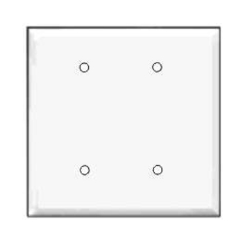 Double Blank Plate White