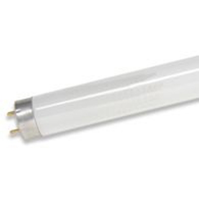 18" F15T8/CW Fluorescent Tube Mini Bi-Pin