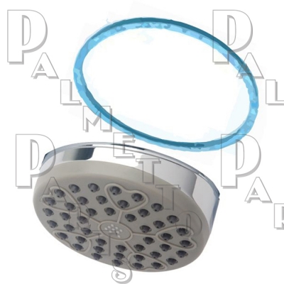 Symmons Showerhead Face & Gasket