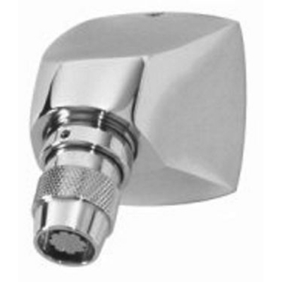 4-295 Institutional Showr Head